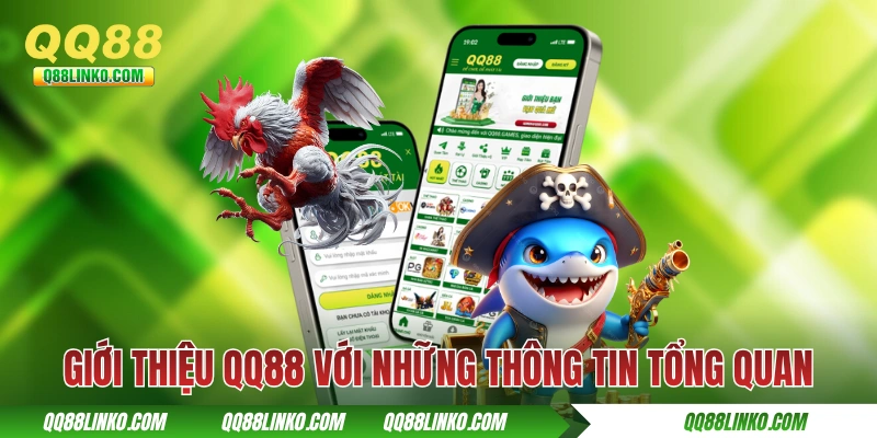 Giới Thiệu QQ88 - Tiêu Chuẩn “Vàng” Của Cược Trực Tuyến 2025 1 Giới thiệu QQ88 với những thông tin tổng quan