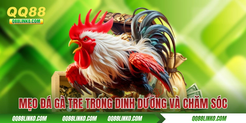 Mẹo đá gà tre trong dinh dưỡng và chăm sóc