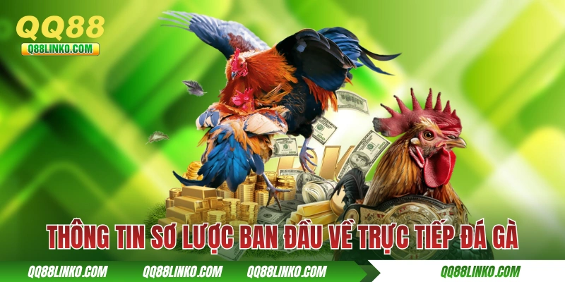 Thông tin sơ lược ban đầu về trực tiếp đá gà